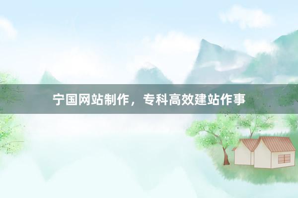 宁国网站制作，专科高效建站作事