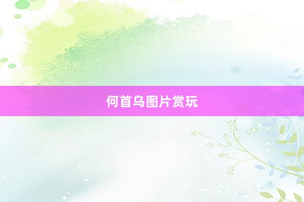何首乌图片赏玩