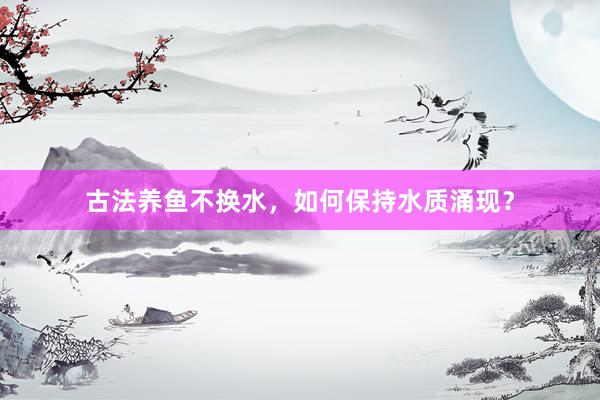 古法养鱼不换水，如何保持水质涌现？